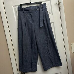 Siz8 Ann Taylor Static Pants in blue
